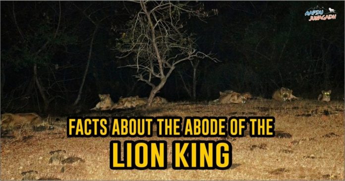 Facts about the abode of the Lion King