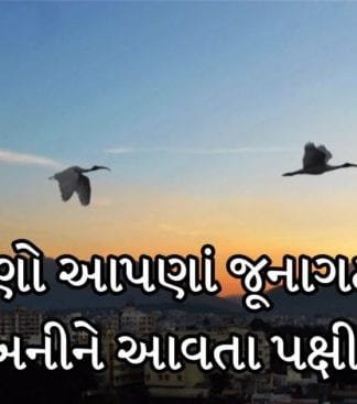 Junagadh Birds : જાણો આપણાં જૂનાગઢમાં મહેમાન બનીને આવતા પક્ષીઓ વિશે.