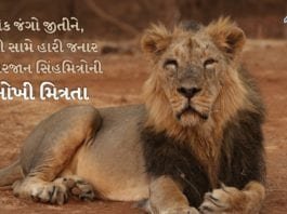 સિંહ