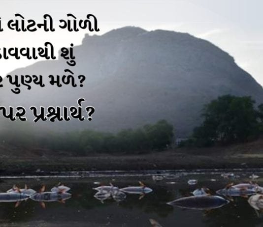 Junagadh News