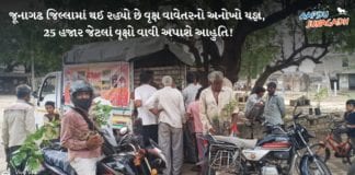 જૂનાગઢ