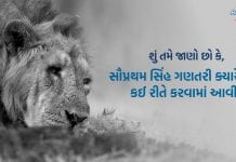 Lion Census Gir