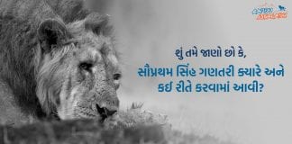 Lion Census Gir