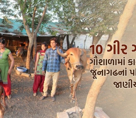 જૂનાગઢ