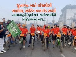 જૂનાગઢ