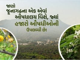 ઔષધાલય