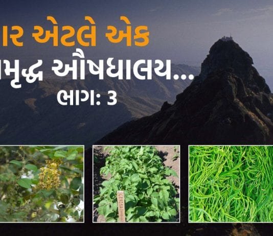 ગિરનાર